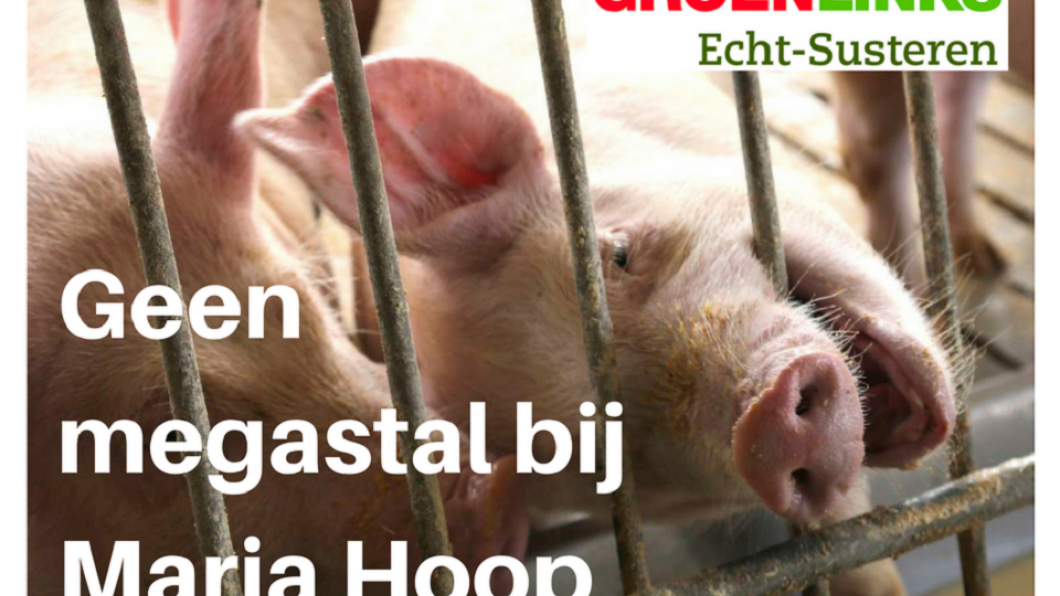 Geen megastal bij Maria Hoop.png