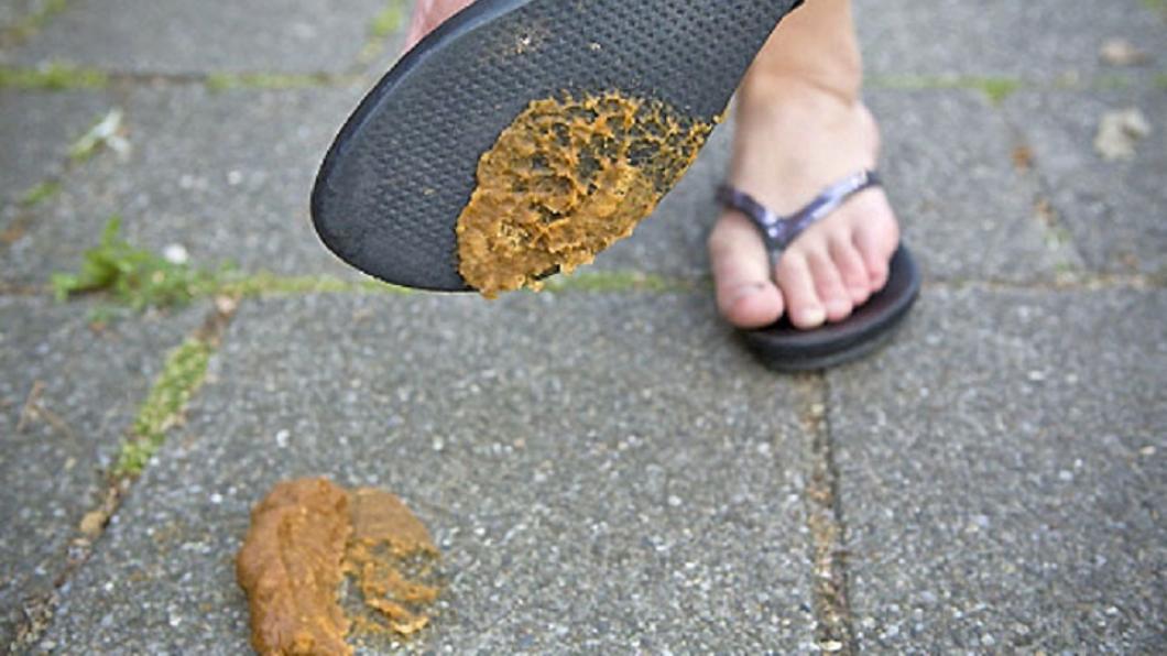 Hondenpoep.jpg