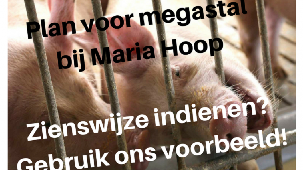 Megastal bij Maria Hoop zienswijze.png