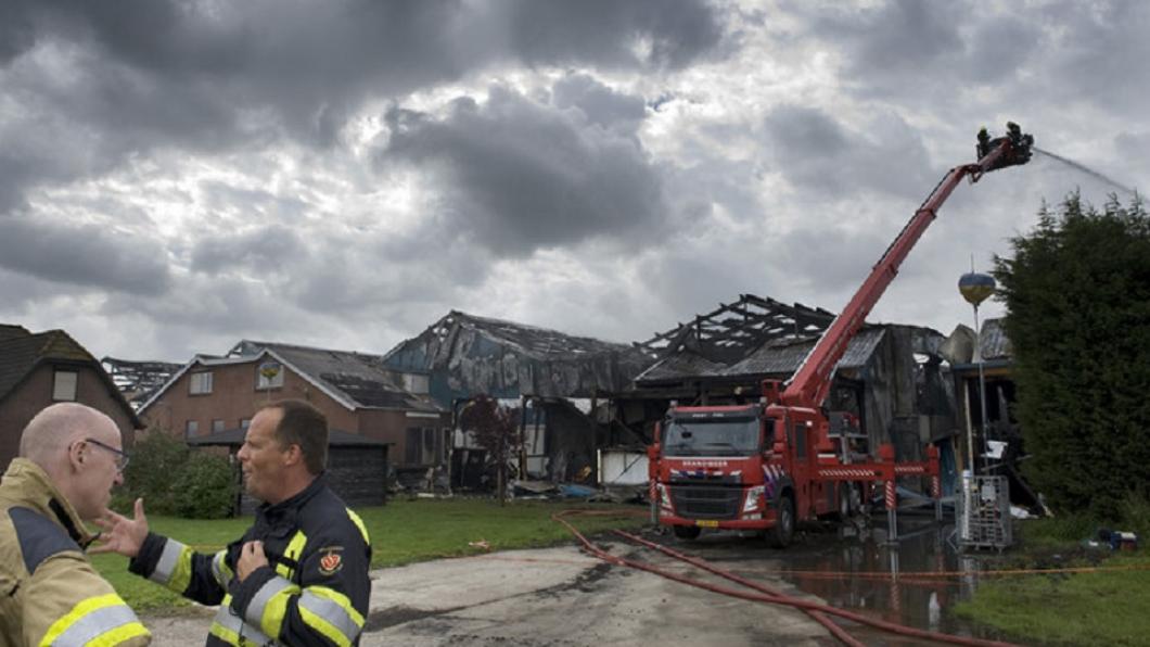 stalbrand Erichem knorhof Straathof.jpg